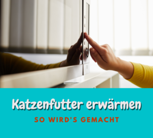 Read more about the article Katzenfutter erwärmen – So macht man es richtig