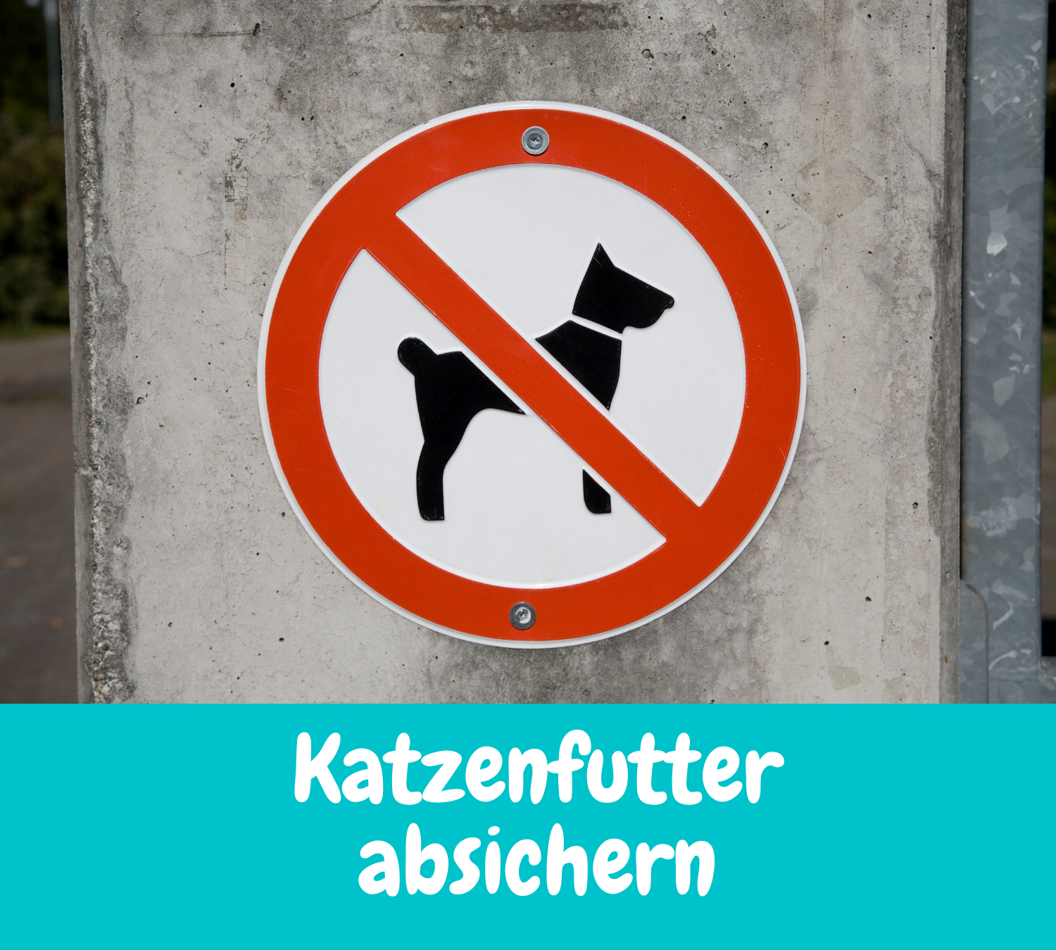 Read more about the article Katzenfutter absichern – Damit nur die richtige Katze frisst.