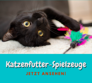 Read more about the article Katzenfutter Spielzeug
